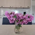 Babic Τρογκίρ